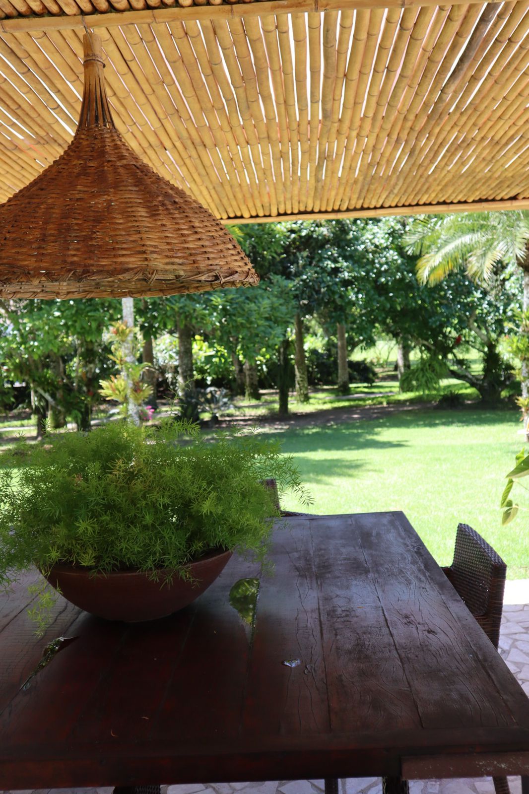 Cópia de WhatsApp Image 2022-01-05 at 14.38.46