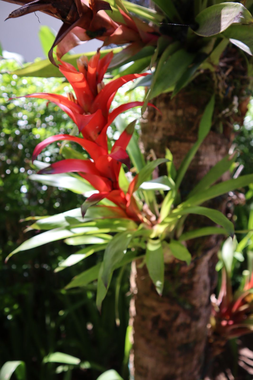 Cópia de WhatsApp Image 2022-01-05 at 14.38.47