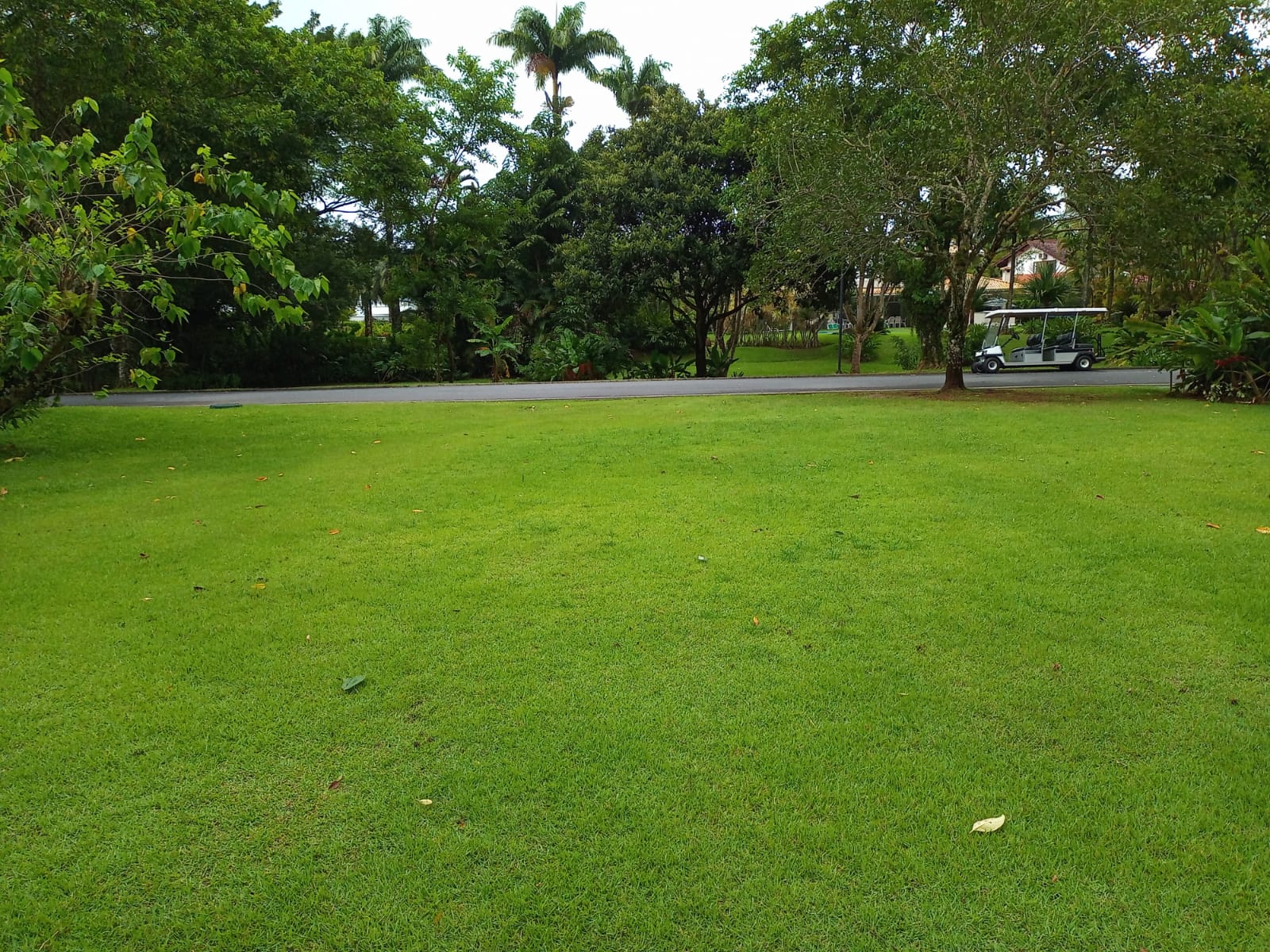 Cópia de WhatsApp Image 2022-01-07 at 14.17.11 (1).