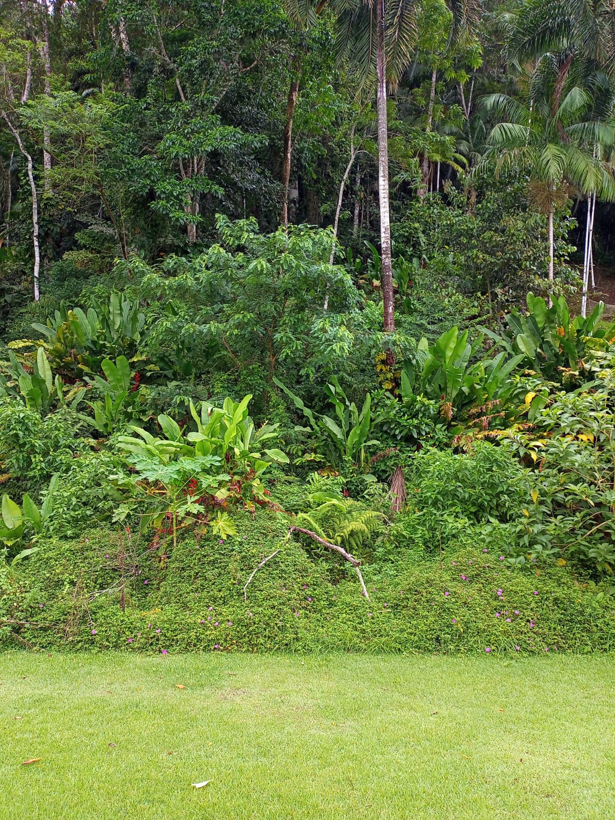 Cópia de WhatsApp Image 2022-01-07 at 14.17.11