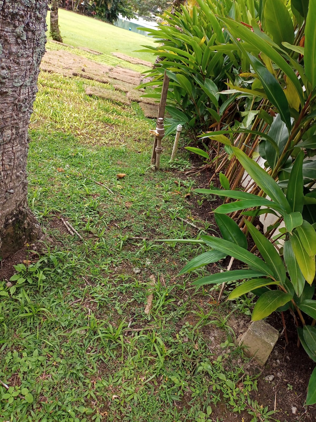 Cópia de WhatsApp Image 2022-09-27 at 14.40.08