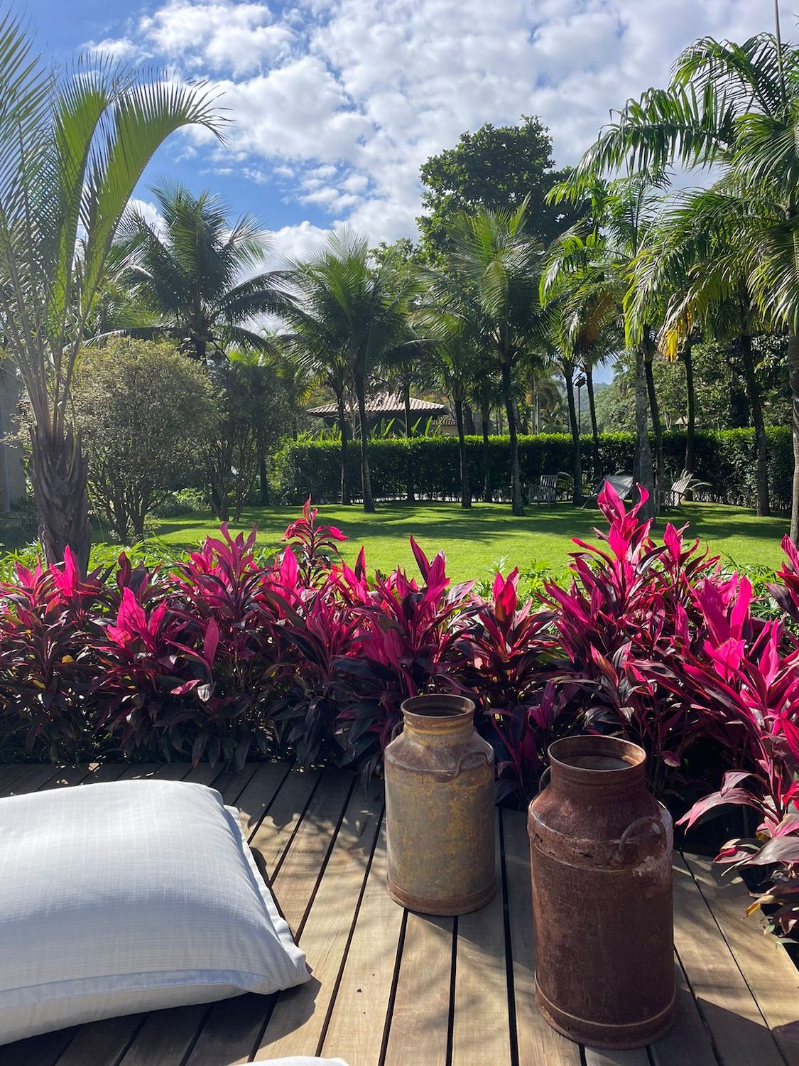 Cópia de WhatsApp Image 2023-11-07 at 09.57.38 (1)