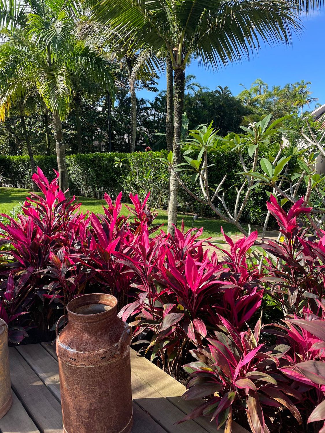 Cópia de WhatsApp Image 2023-11-07 at 09.57.38 (2)