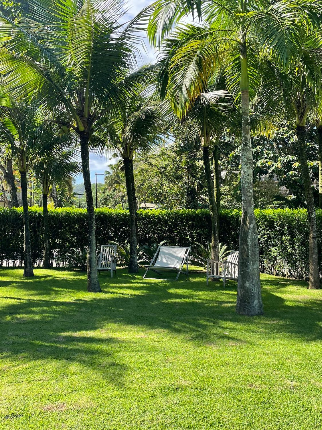 Cópia de WhatsApp Image 2023-11-07 at 09.57.39 (1)