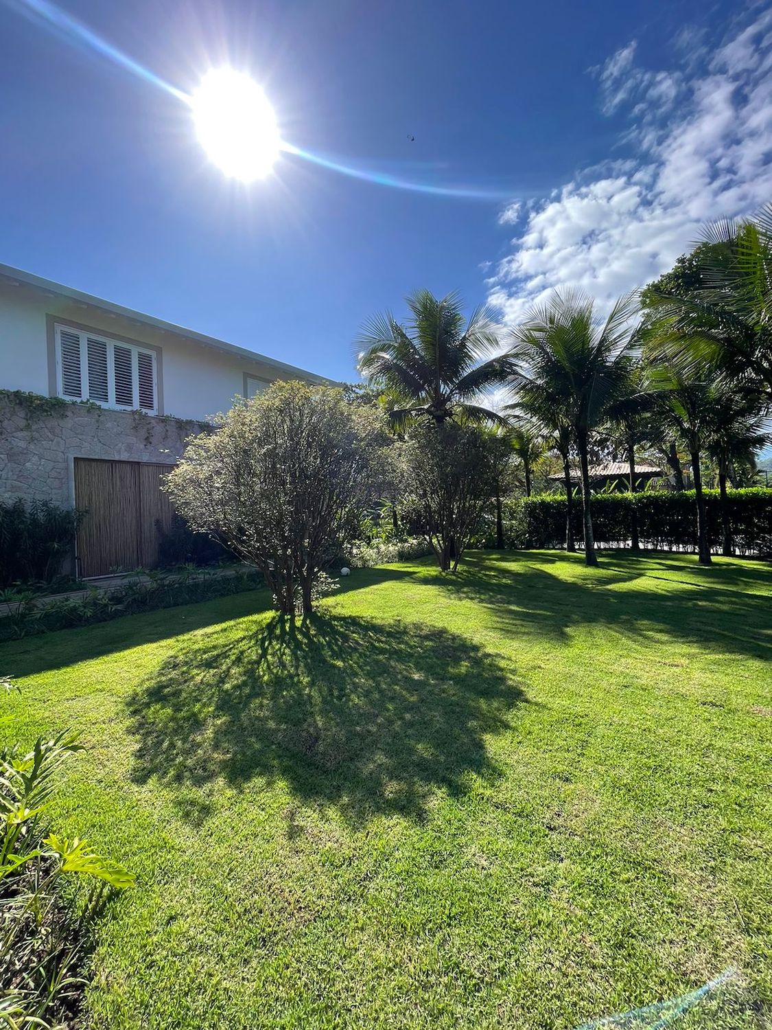 Cópia de WhatsApp Image 2023-11-07 at 09.57.39 (2)