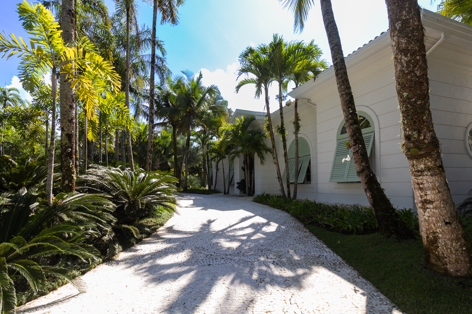 Cópia de liana_web@fotosincriveisparaty-5