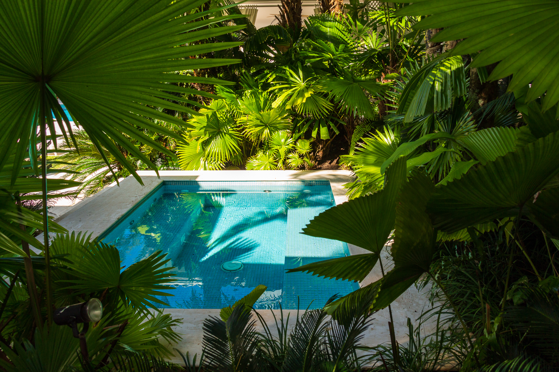 Cópia de liana_web@fotosincriveisparaty-52